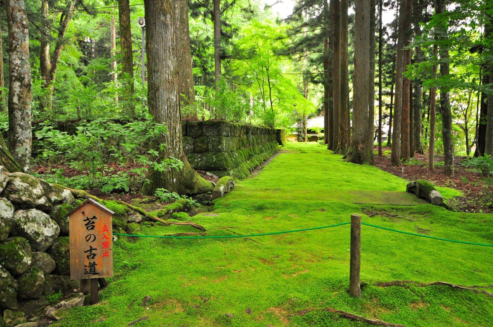 Hotel Yamabuki Комагане Экстерьер фото